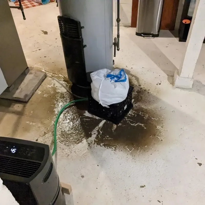 Sewage Backup Cleanup Service in Costilla County, CO